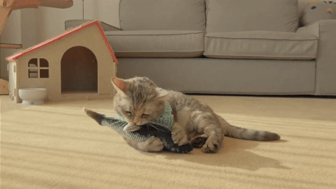 Tiny Tuna™ Cat Toy